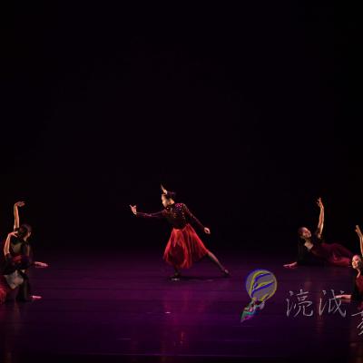 Dsc 7535