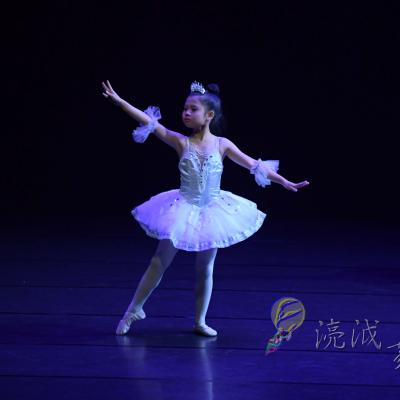 Dsc 7667