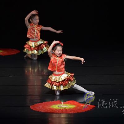 Dsc 8143