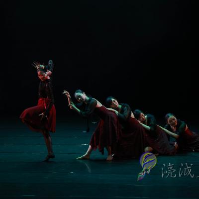 Lrdt 2007